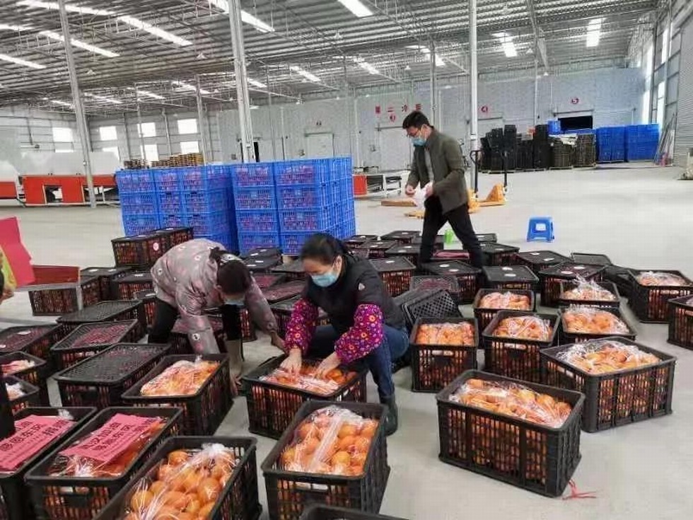 广西马山县 - 东风，战“疫”的爱心在传递！