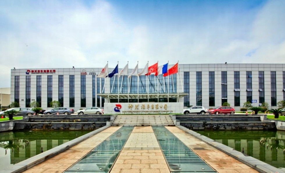 内力激发 外力加持 神龙坚定推进“元”计划