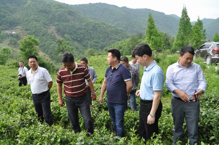 【图片背后的扶贫故事】聚焦扶贫决胜期，精准扶贫我们在路上