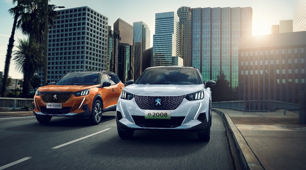 内力激发 外力加持 神龙坚定推进“元”计划