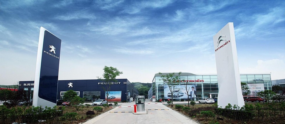 内力激发 外力加持 神龙坚定推进“元”计划