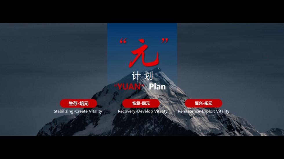 内力激发 外力加持 神龙坚定推进“元”计划