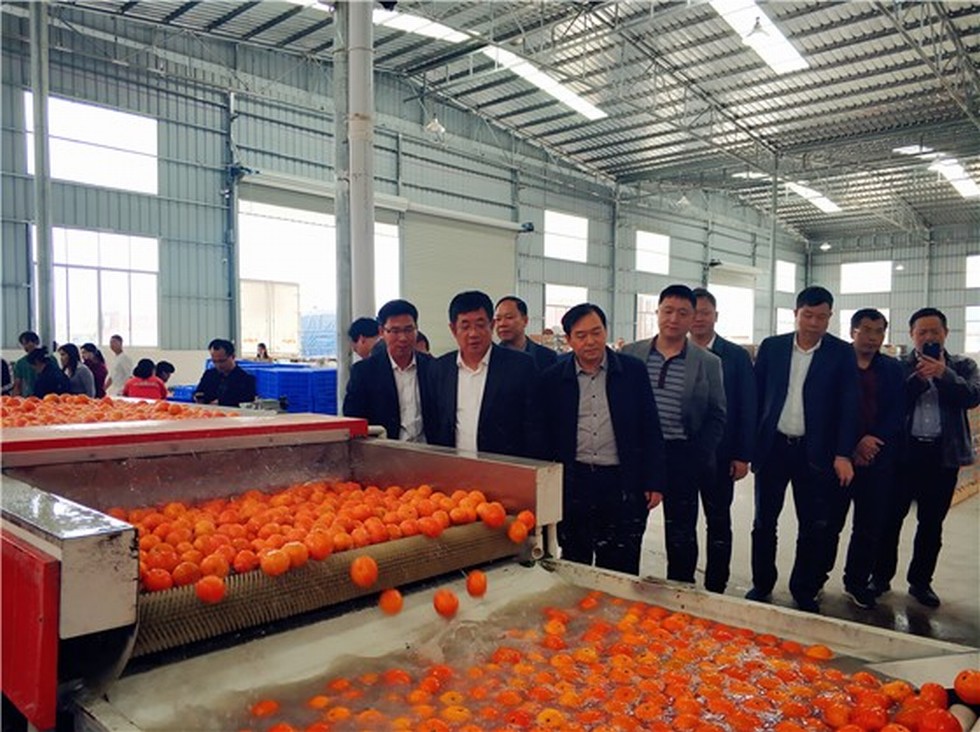 【图片背后的扶贫故事】赵书良一行赴广西马山县扶贫攻坚调研