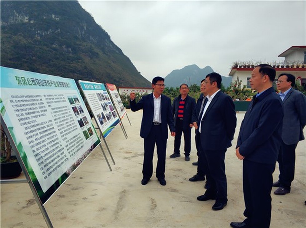 【图片背后的扶贫故事】赵书良一行赴广西马山县扶贫攻坚调研