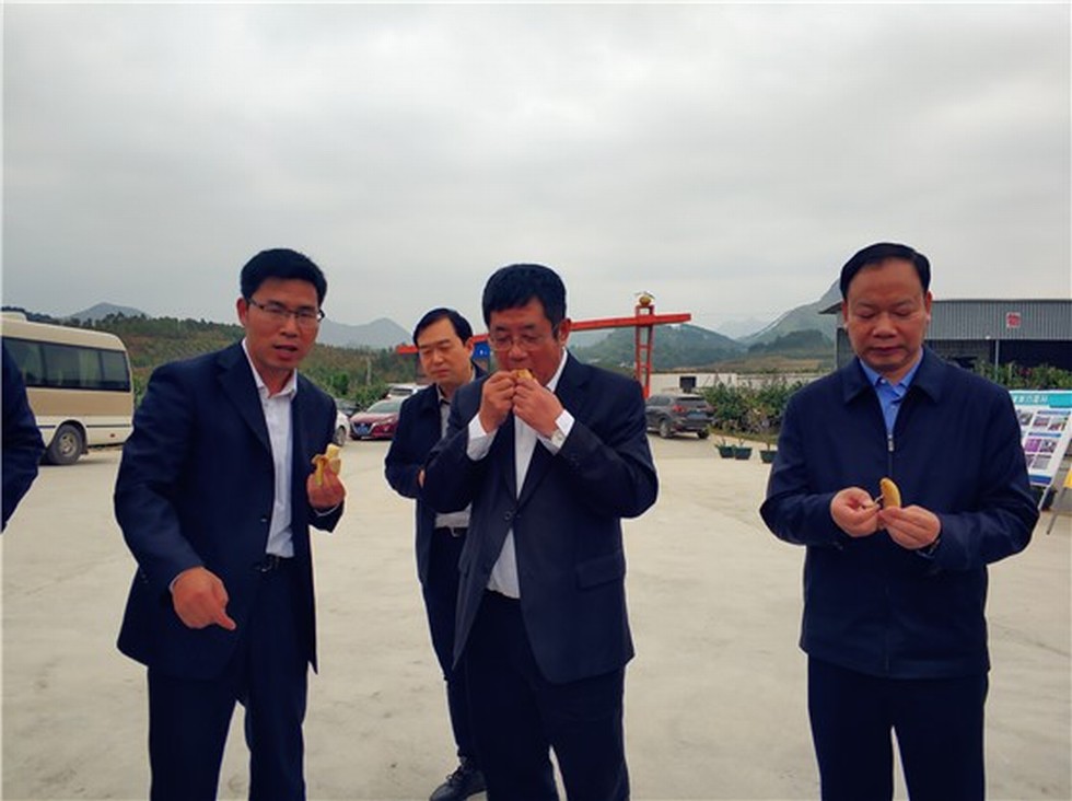 【图片背后的扶贫故事】赵书良一行赴广西马山县扶贫攻坚调研