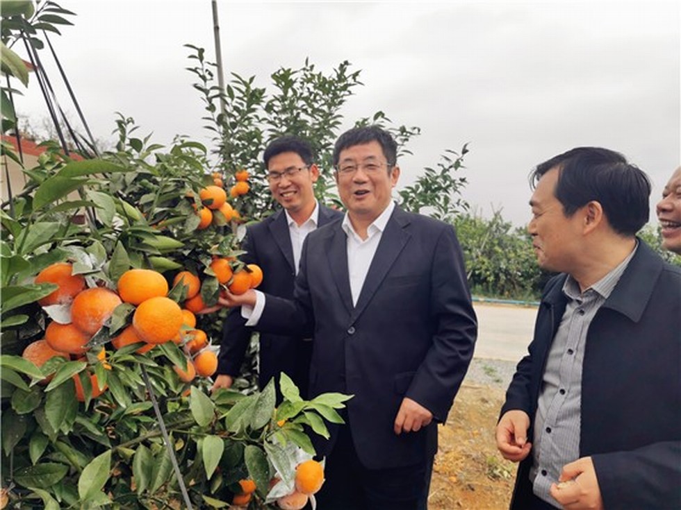 【图片背后的扶贫故事】赵书良一行赴广西马山县扶贫攻坚调研