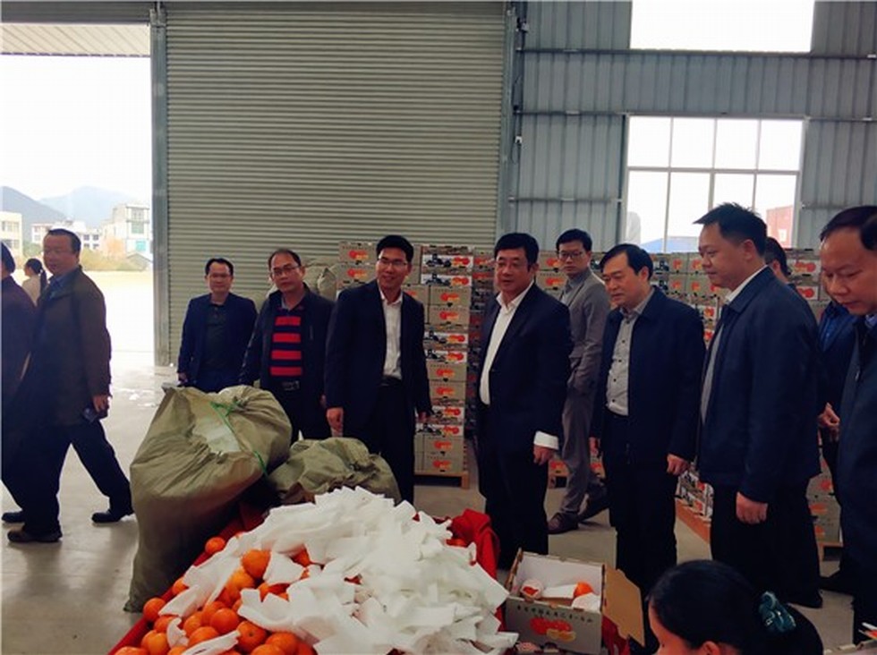 【图片背后的扶贫故事】赵书良一行赴广西马山县扶贫攻坚调研