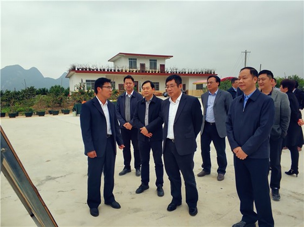 【图片背后的扶贫故事】赵书良一行赴广西马山县扶贫攻坚调研