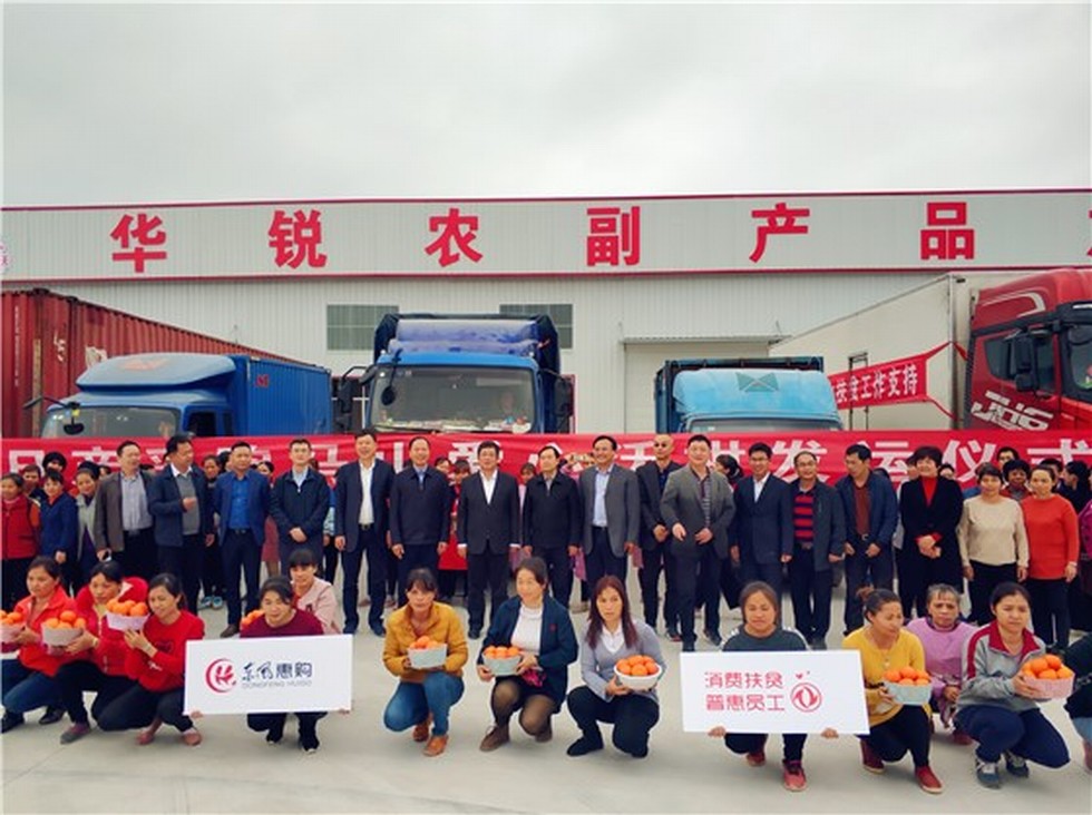 【图片背后的扶贫故事】赵书良一行赴广西马山县扶贫攻坚调研