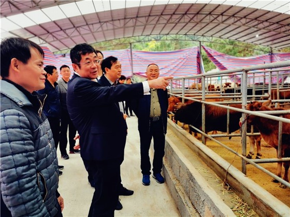 【图片背后的扶贫故事】赵书良一行赴广西马山县扶贫攻坚调研