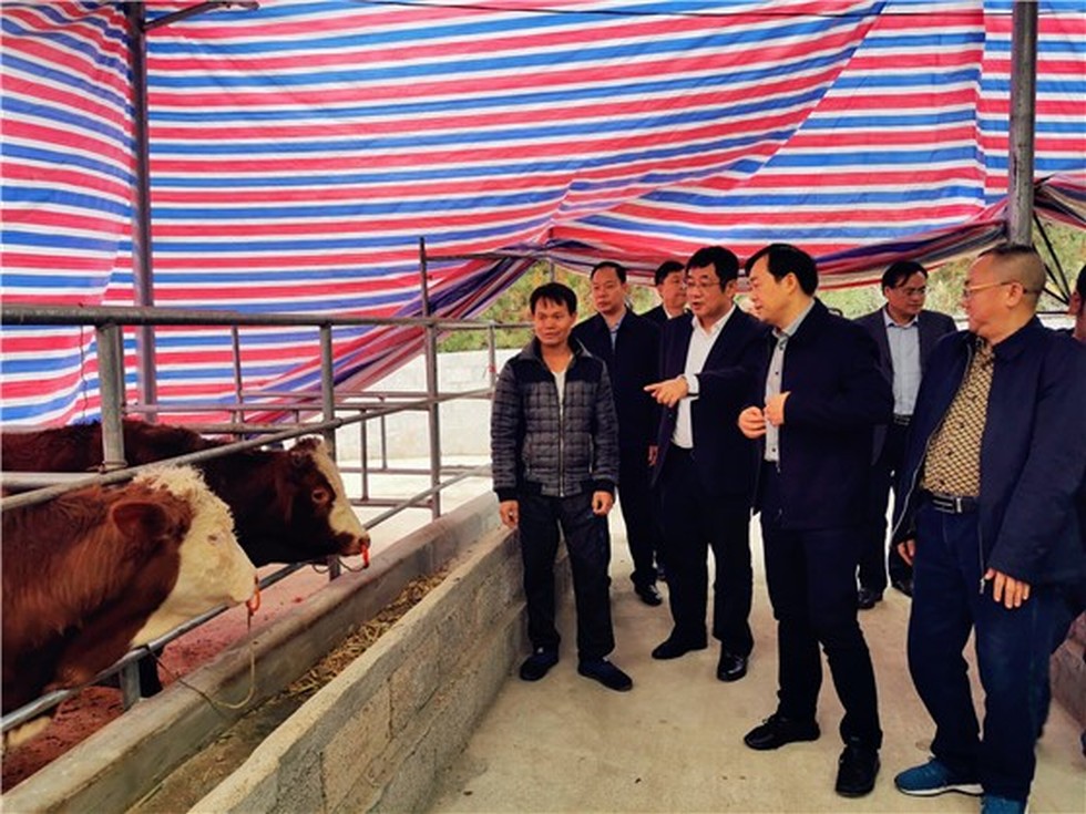 【图片背后的扶贫故事】赵书良一行赴广西马山县扶贫攻坚调研