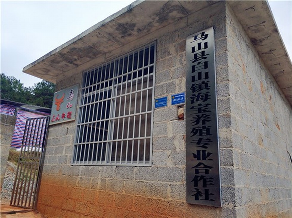 【图片背后的扶贫故事】赵书良一行赴广西马山县扶贫攻坚调研