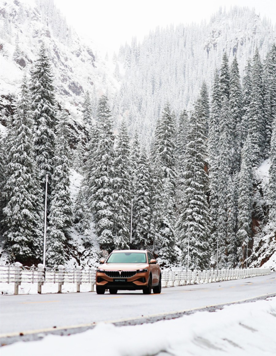 岚图车主全程参与 《新219国道》开播