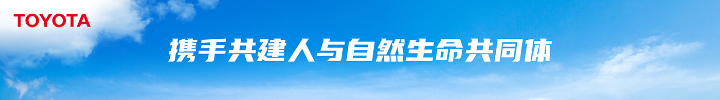携手共建人与自然生命共同体 丰田倾力出展第四届中国国际进口博览会