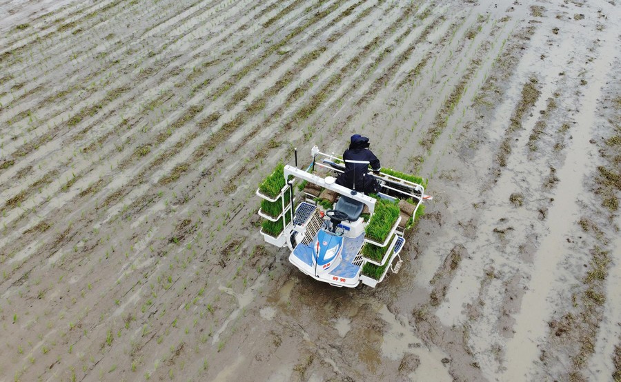 东风井关：智慧农机 驰骋田野