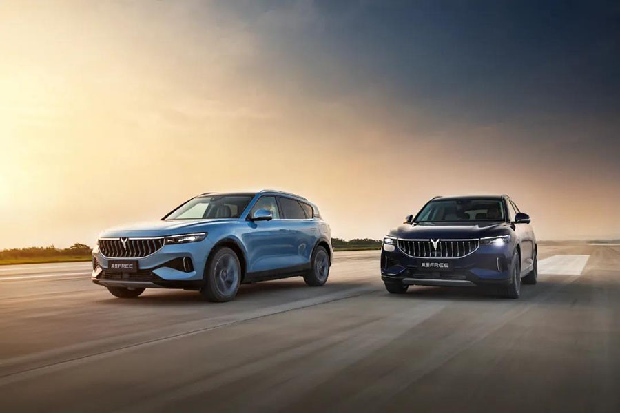 岚图FREE正式上市