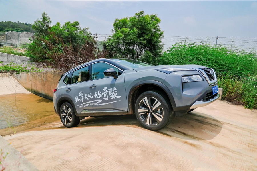 纵擎天地 天生奇骏