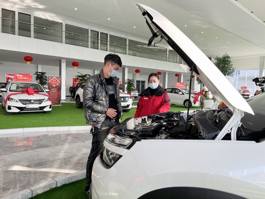 【开门红 在现场】“在东风汽车商城，买车就像逛超市”