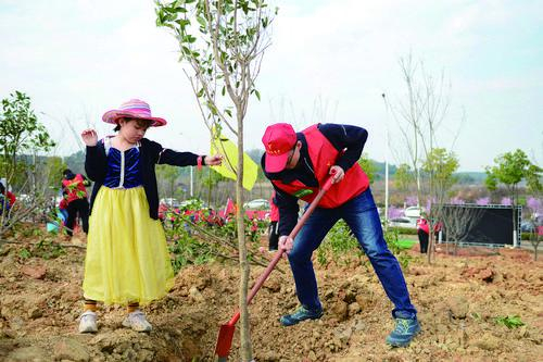 种下一棵树 守住一片绿