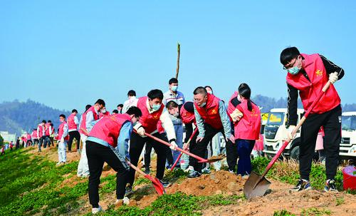 种下一棵树 守住一片绿