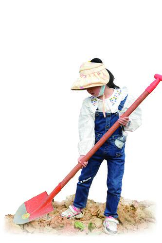 种下一棵树 守住一片绿