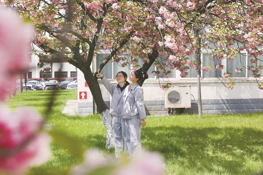 不负春光加速跑