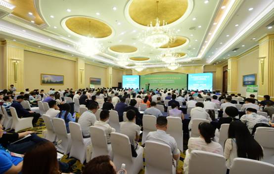 第六届中国（成都）国际新能源汽车及电动车展览会6月12日召开