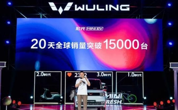 比特斯拉卖得好的电动车是啥样子的？