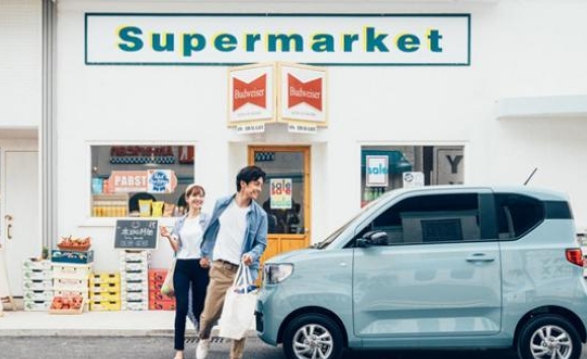 比特斯拉卖得好的电动车是啥样子的？