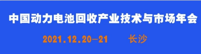 中国电动汽车占领“外国街道”！全球汽车市场看中国！