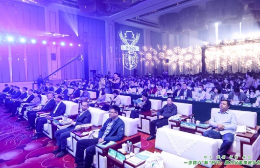 助力绿色出行服务乡村振兴2021年新能源汽车下乡活动全国首站江苏溧阳开启