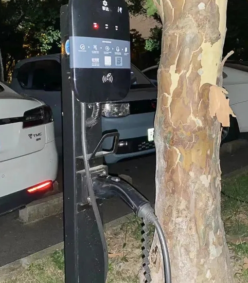 新能源汽车往后是否成为主流行业？敬请期待！