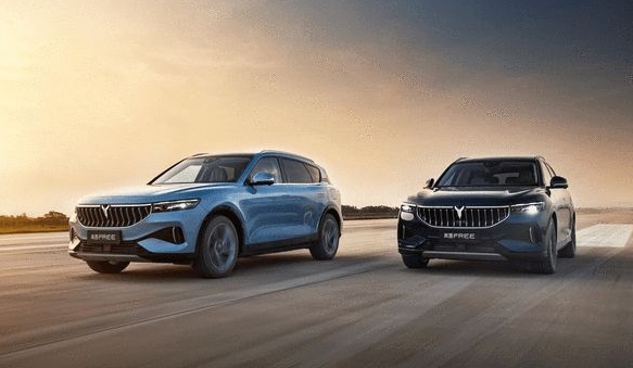 智能电动汽车大势所趋岚图加速推动新汽车革命