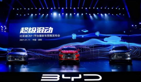 新能源爆发or新能源车企爆发？比亚迪6月新能源销量创历史新高