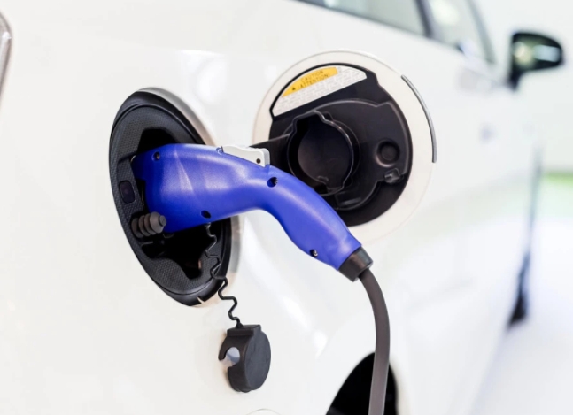 新能源汽车市场进入成长期，纯电动市场扩大，产业格局呈现新生态