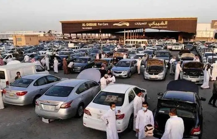 沙媒：沙特电动汽车看好中国市场