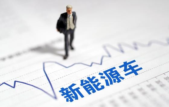 新能源汽车专家电话会议