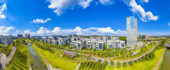 长沙实干开新局|新能源汽车行业倾力打造“增长极”！