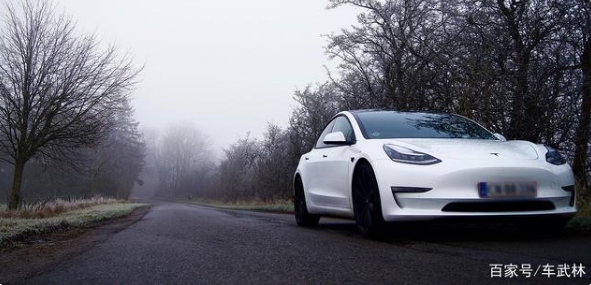 订单转手赚7千？特斯拉竟然是2021年最值车型！