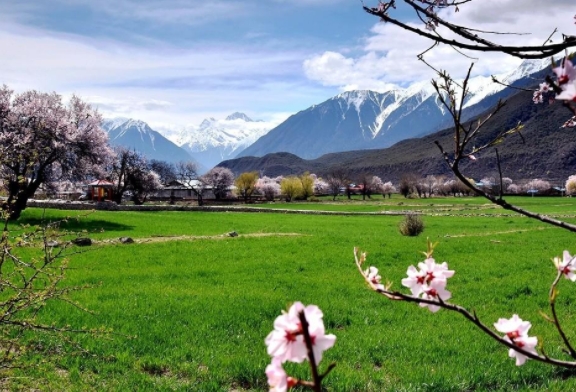 今年以来拉萨市免征新能源汽车车辆购置税和车船税1396万元