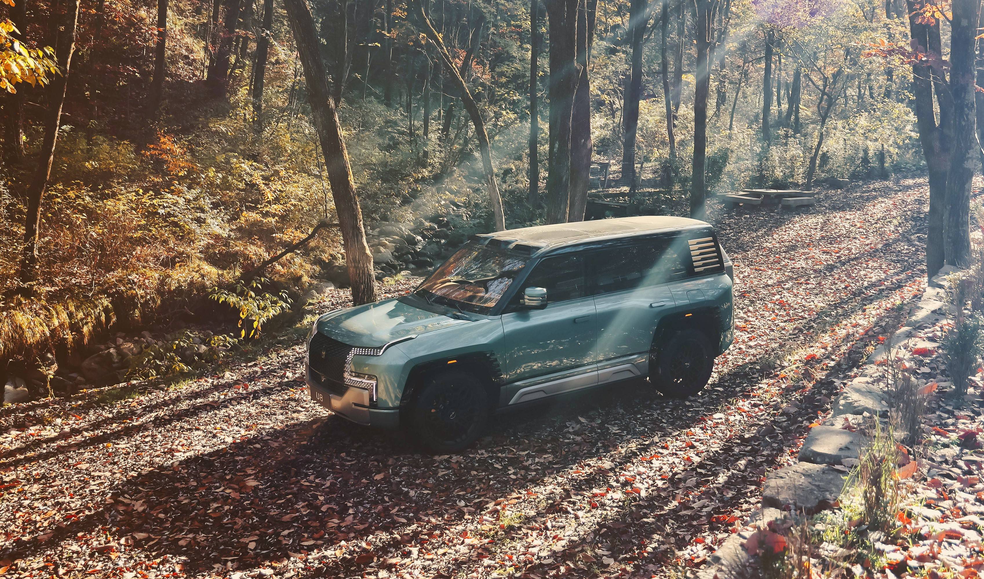 比亚迪年销破300万丨中国的冠军，世界的冠军