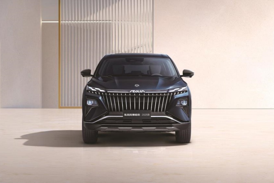 2025款东风风神皓极上市