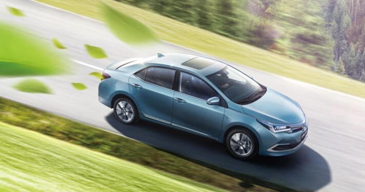 中经评论：扩大新能源汽车发展优势