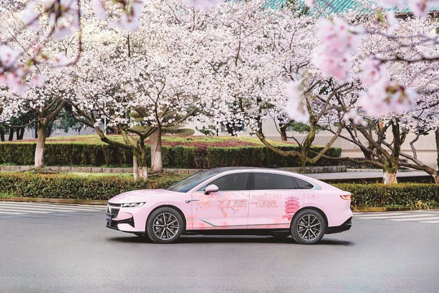 好景配好车 赏樱驾追光