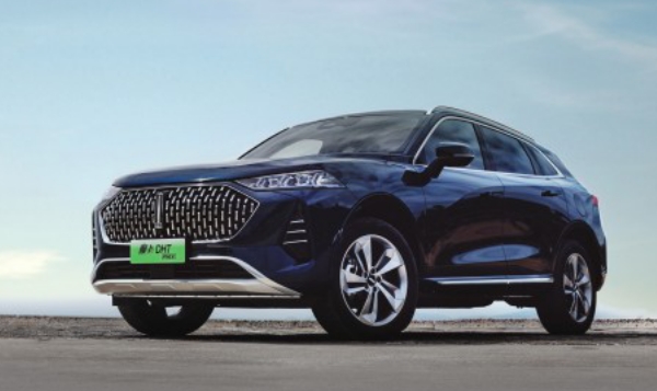 国产电动汽车领跑，全球见证新能源大有可为