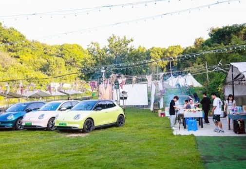 易车：新能源汽车市场增长迅猛，丰富产品矩阵意义凸显