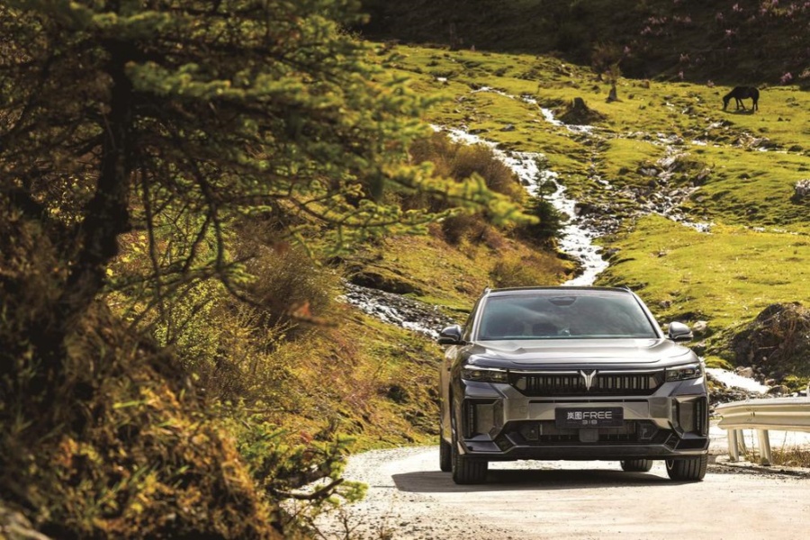 岚图FREE 318开启预售