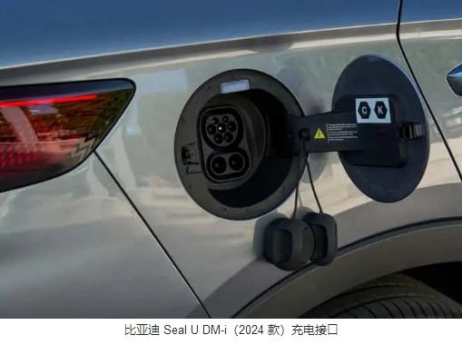 中国如何成为电动汽车领域的领导者（以及现在的情况）