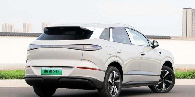 果然没让人失望，海狮06EV，上市三个月单月销量突破2万台