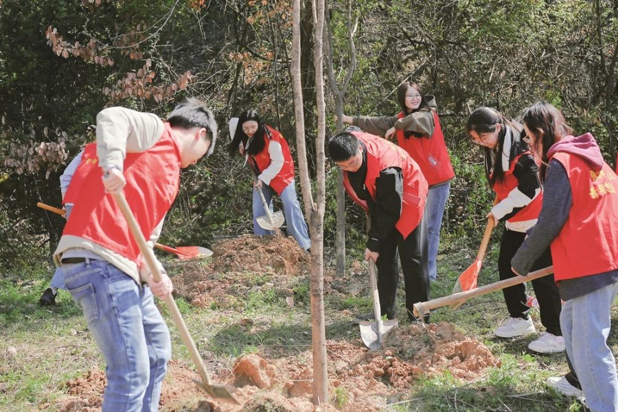 政企共建青年林